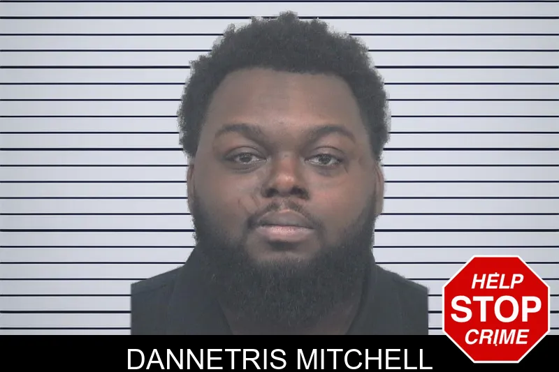 Dannetris Mitchell mugshot – Gwinnett County , Georgia Dannetris Mitchell mugshot