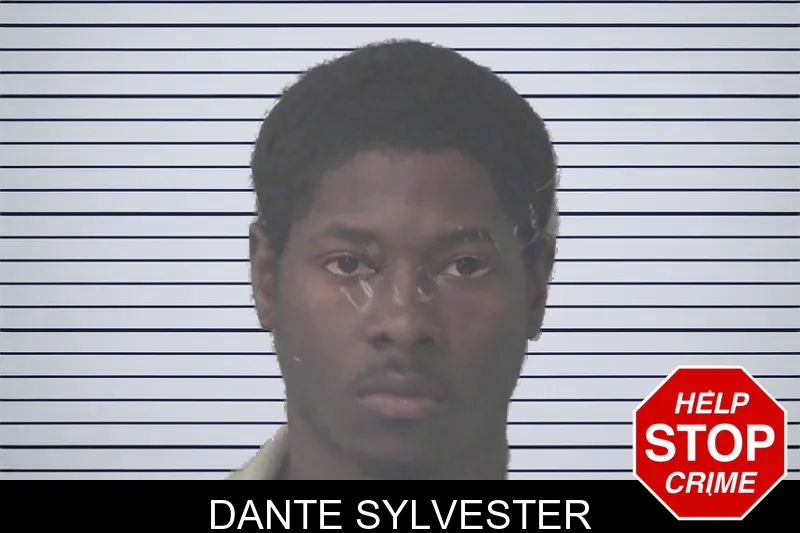 Dante Sylvester mugshot – Newton County , Georgia Dante Sylvester mugshot