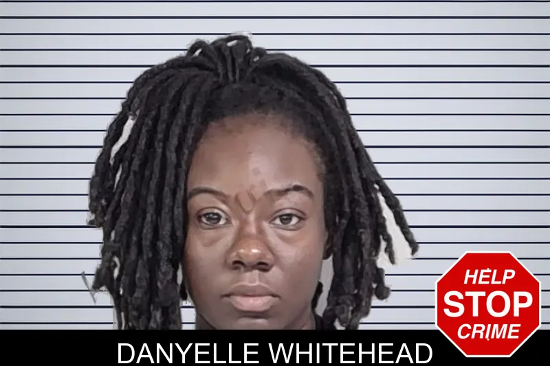 Danyelle Whitehead mugshot – Lowndes County , Georgia Danyelle Whitehead mugshot