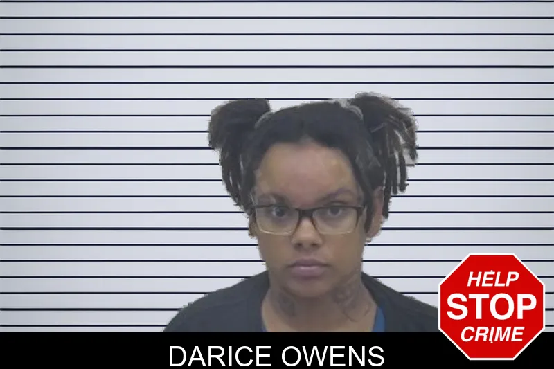 Darice Owens mugshot – Coffee County , Georgia Darice Owens mugshot