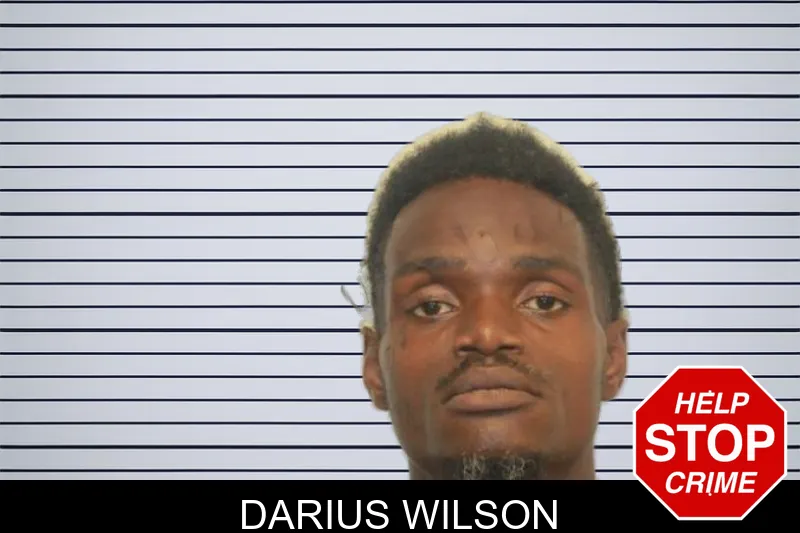 Darius Wilson mugshot – Chatham County , Georgia Darius Wilson mugshot