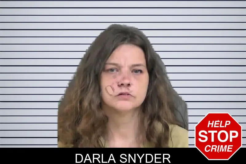 Darla Snyder mugshot