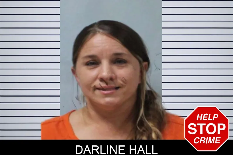 Darline Hall mugshot – Seminole County , Georgia Darline Hall mugshot