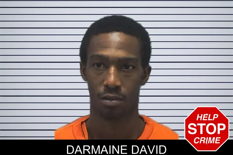 Darmaine David mugshot – Cherokee County , Georgia Darmaine David mugshot