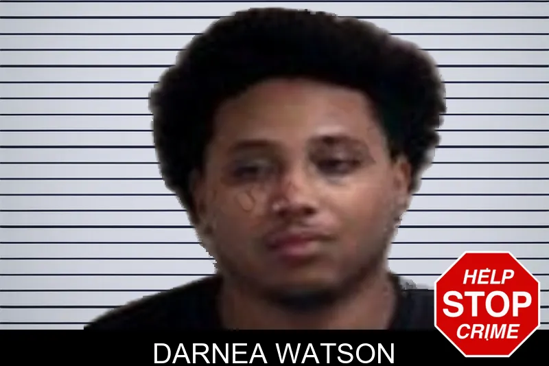Darnea Watson mugshot