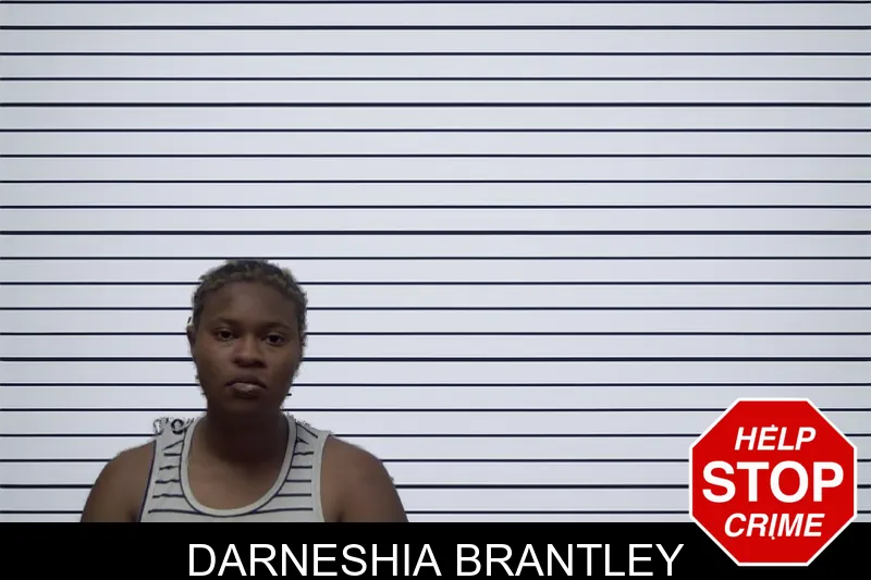 Darneshia Brantley mugshot – Irwin County , Georgia Darneshia Brantley mugshot