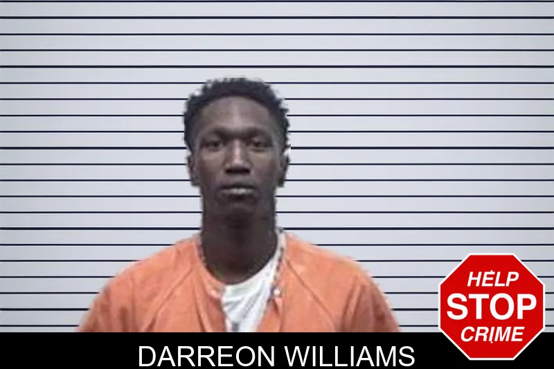 Darreon Williams mugshot – Tattnall County , Georgia Darreon Williams mugshot