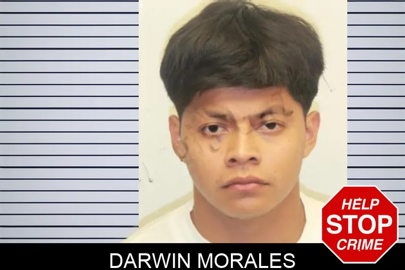 Darwin Morales mugshot