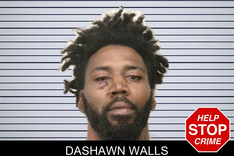 Dashawn Walls mugshot – Bulloch County , Georgia Dashawn Walls mugshot