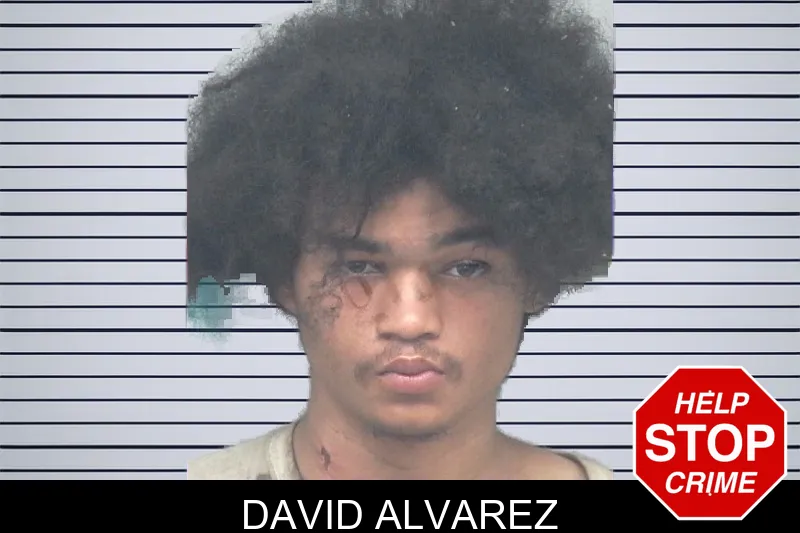 David Alvarez mugshot – Gwinnett County , Georgia David Alvarez mugshot