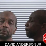 David Anderson Jr mugshot – Houston County , Georgia David Anderson Jr mugshot