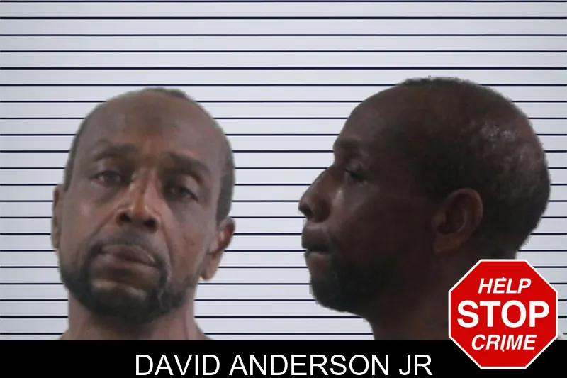 David Anderson Jr mugshot – Houston County , Georgia David Anderson Jr mugshot