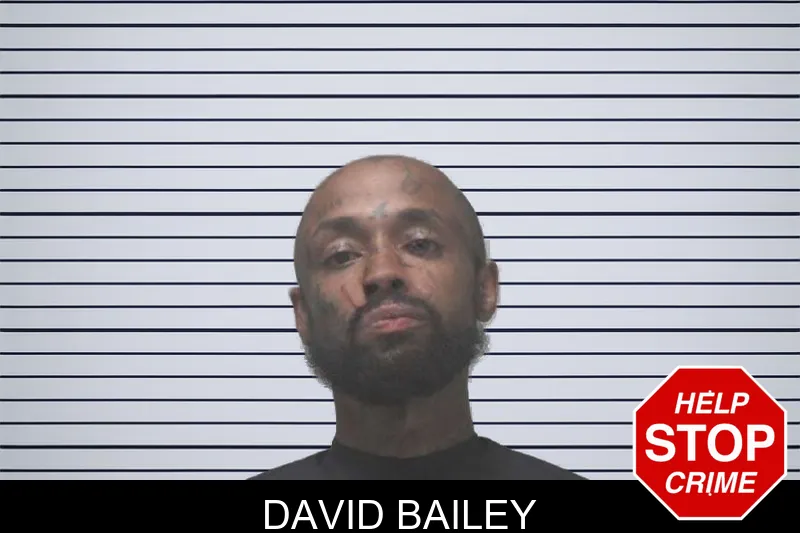 David Bailey mugshot – Coweta County , Georgia David Bailey mugshot