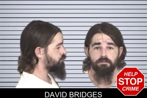 David Bridges mugshot