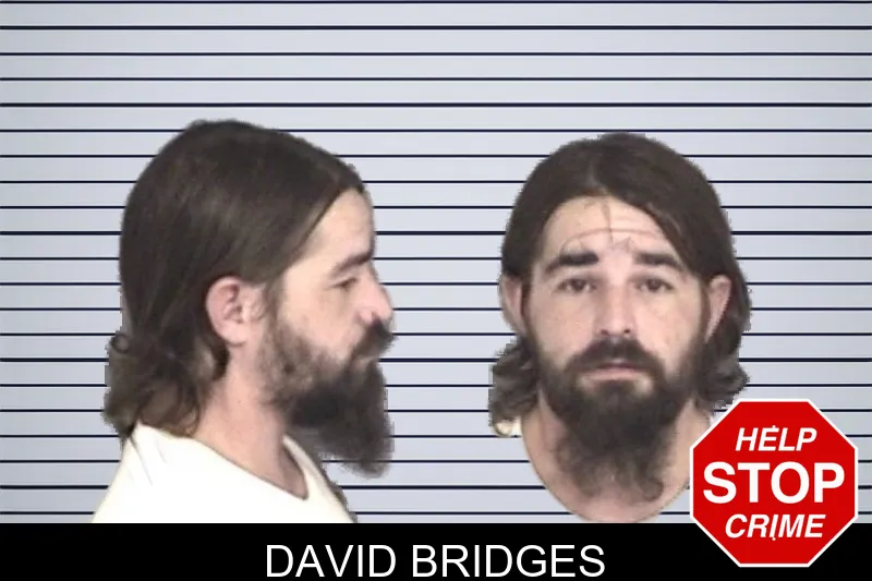 David Bridges mugshot – Barrow County , Georgia David Bridges mugshot