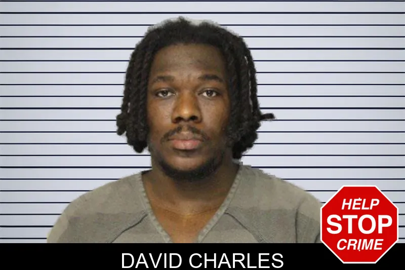 David Charles mugshot – Hall County , Georgia David Charles mugshot