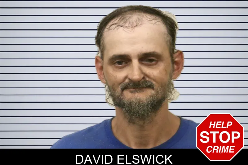 David Elswick mugshot – Bulloch County , Georgia David Elswick mugshot