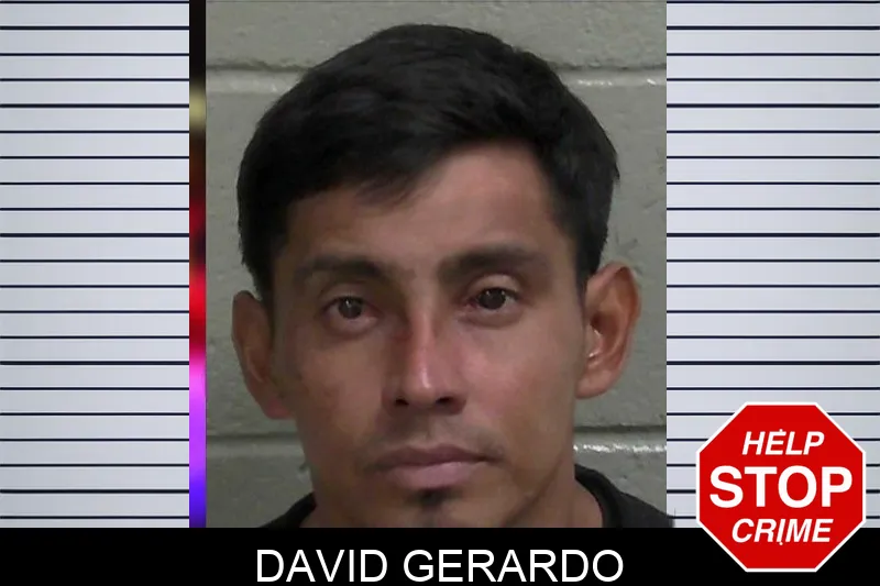 David Gerardo mugshot – Wayne County , Georgia David Gerardo mugshot