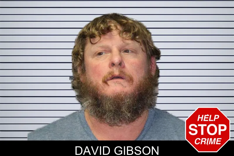 David Gibson mugshot – Thomas County , Georgia David Gibson mugshot