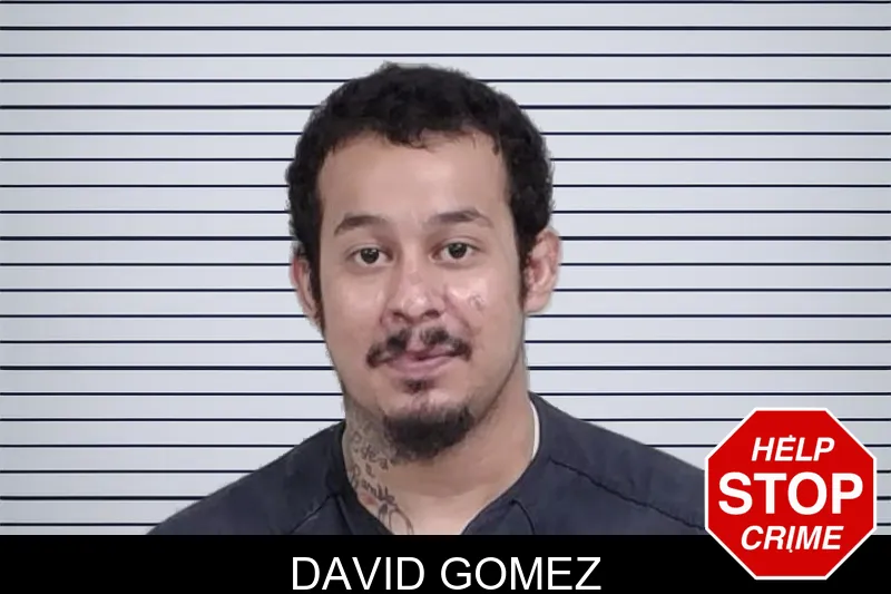 David Gomez mugshot – Lowndes County , Georgia David Gomez mugshot