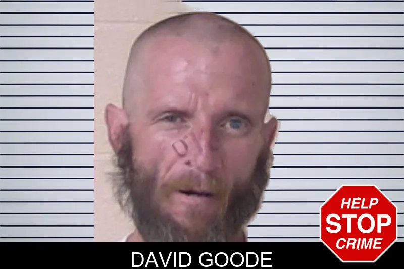 David Goode mugshot – Walker County , Georgia David Goode mugshot