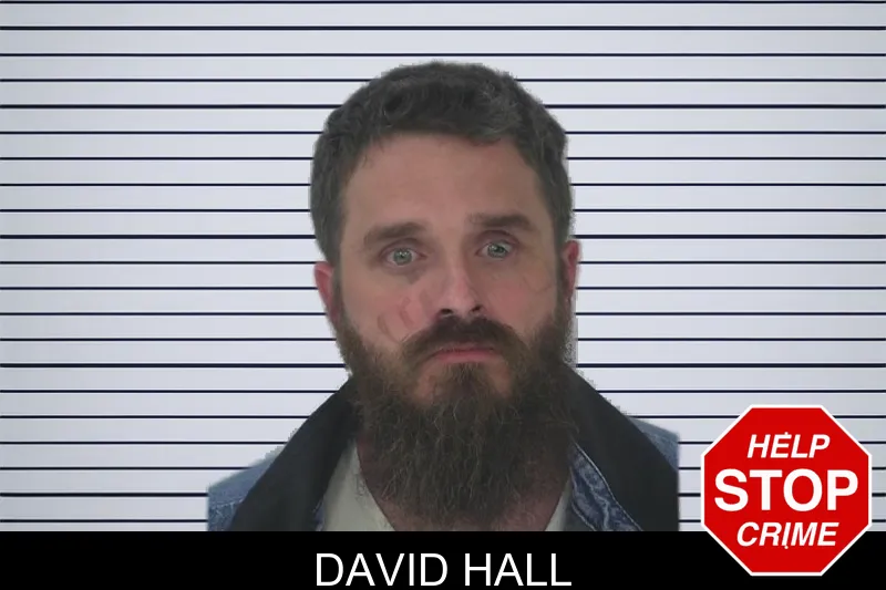 David Hall mugshot – Fayette County , Georgia David Hall mugshot