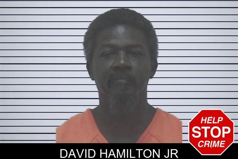David Hamilton Jr mugshot