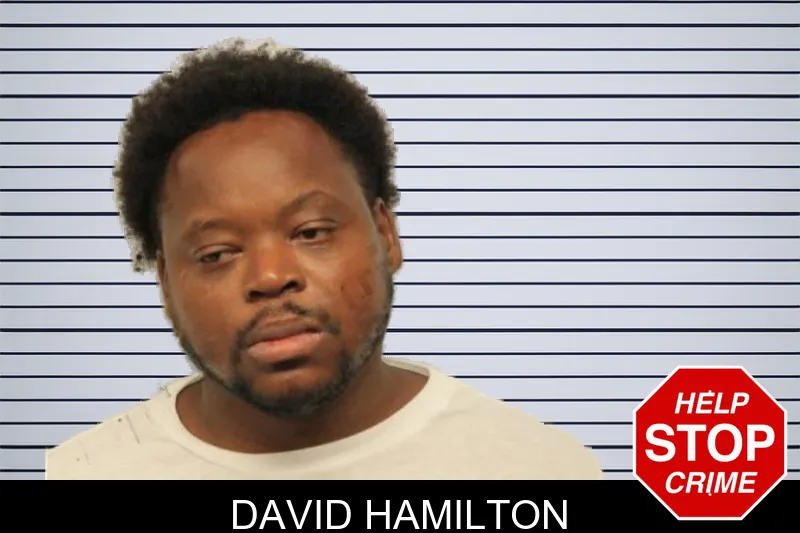 David Hamilton mugshot – Chatham County , Georgia David Hamilton mugshot