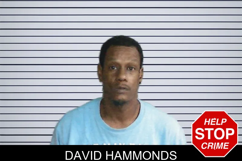 David Hammonds mugshot