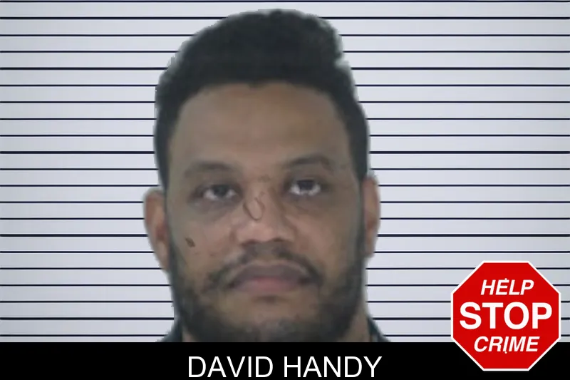 David Handy mugshot – Fayette County , Georgia David Handy mugshot