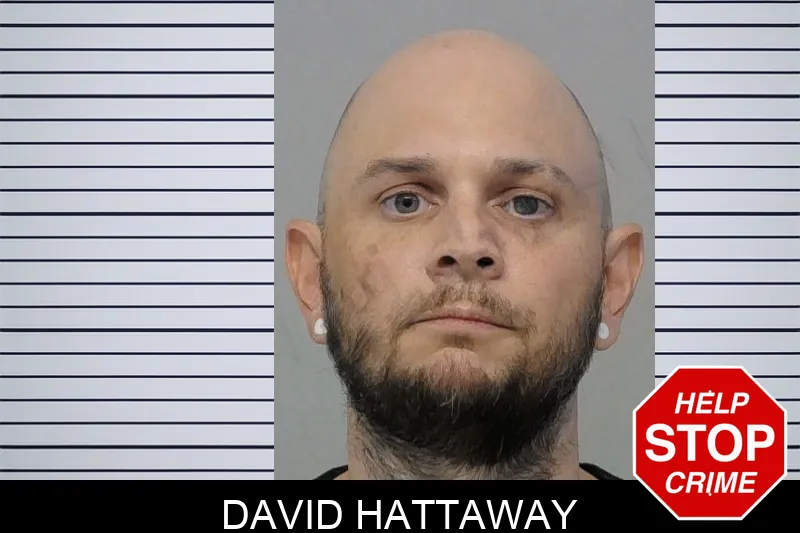 David Hattaway mugshot – Bibb County , Georgia David Hattaway mugshot