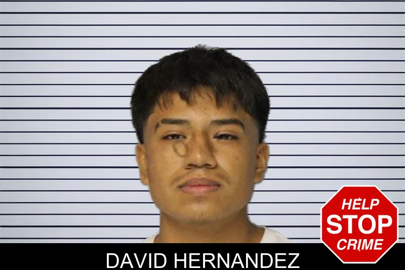 David Hernandez mugshot – Hall County , Georgia David Hernandez mugshot