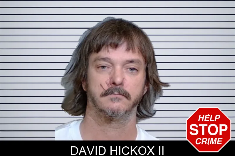 David Hickox II mugshot – Glynn County , Georgia David Hickox II mugshot