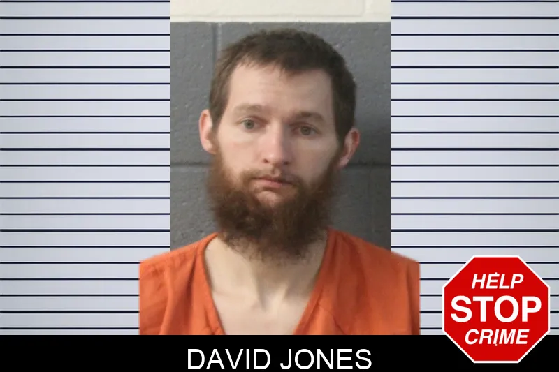 David Jones mugshot – Lumpkin County , Georgia David Jones mugshot
