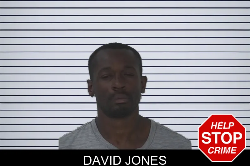 David Jones mugshot – Fayette County , Georgia David Jones mugshot