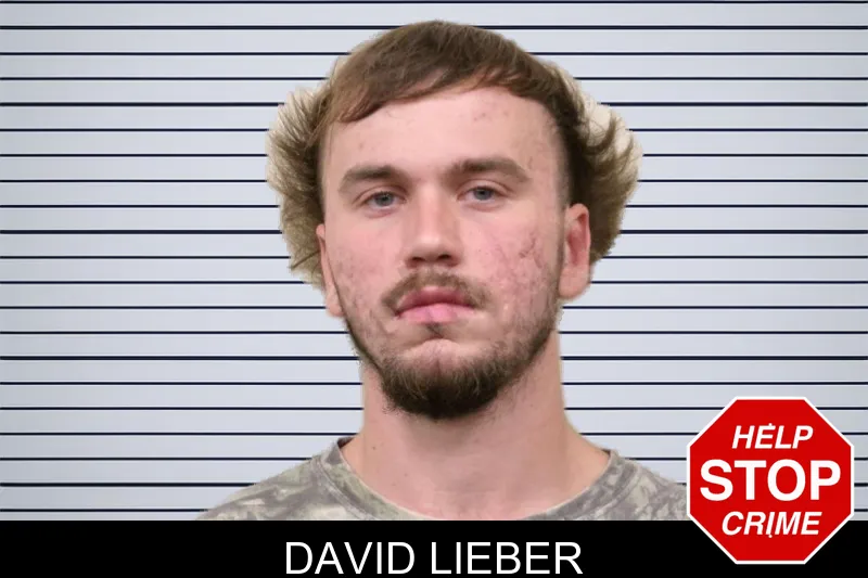 David Lieber mugshot – Bulloch County , Georgia David Lieber mugshot