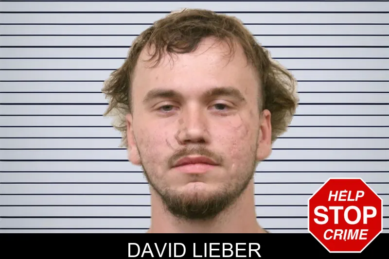 David Lieber mugshot – Bulloch County , Georgia David Lieber mugshot