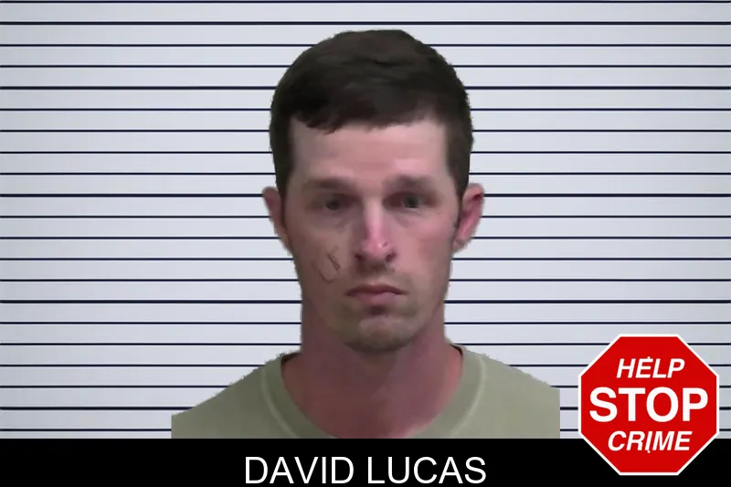 David Lucas mugshot