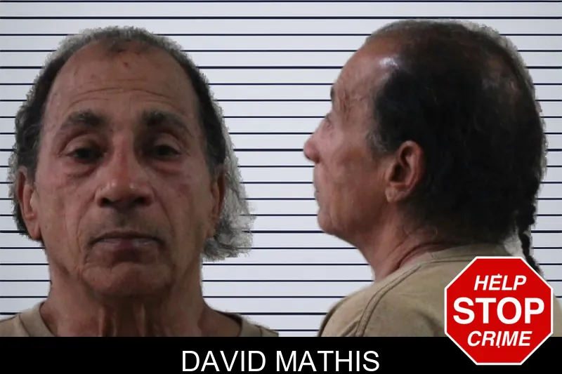 David Mathis mugshot – Houston County , Georgia David Mathis mugshot