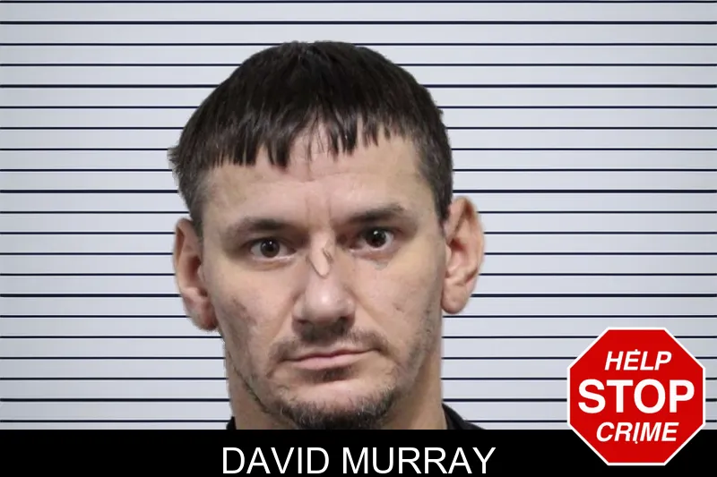 David Murray mugshot – Habersham County , Georgia David Murray mugshot
