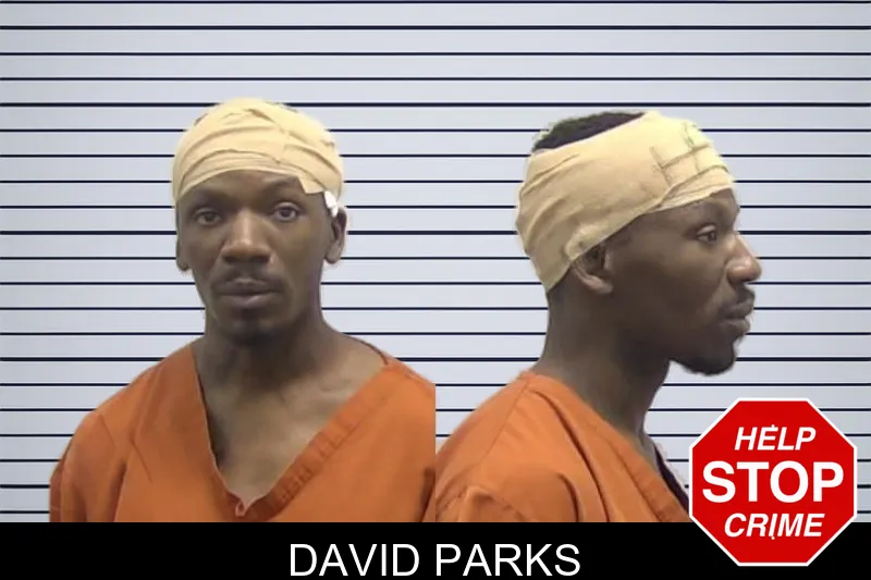 David Parks mugshot – Clarke County , Georgia David Parks mugshot