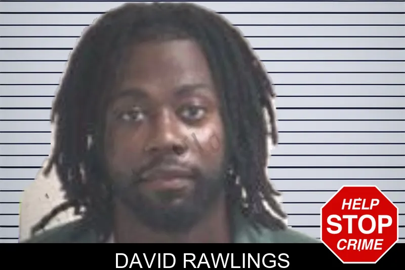 David Rawlings mugshot – Henry County , Georgia David Rawlings mugshot
