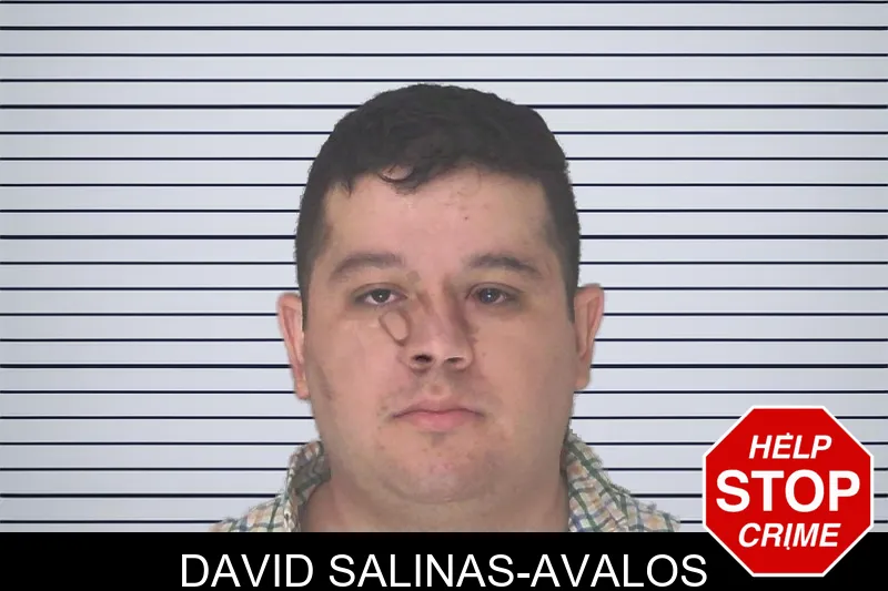 David Salinas-Avalos mugshot – Douglas County , Georgia David Salinas-Avalos mugshot