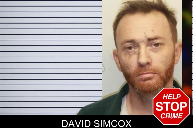 David Simcox mugshot – Chatham County , Georgia David Simcox mugshot