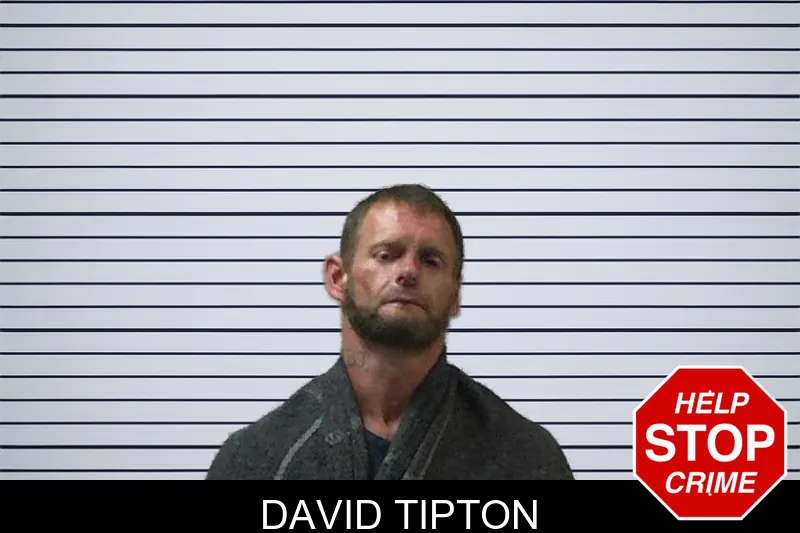 David Tipton mugshot – Gilmer County , Georgia David Tipton mugshot