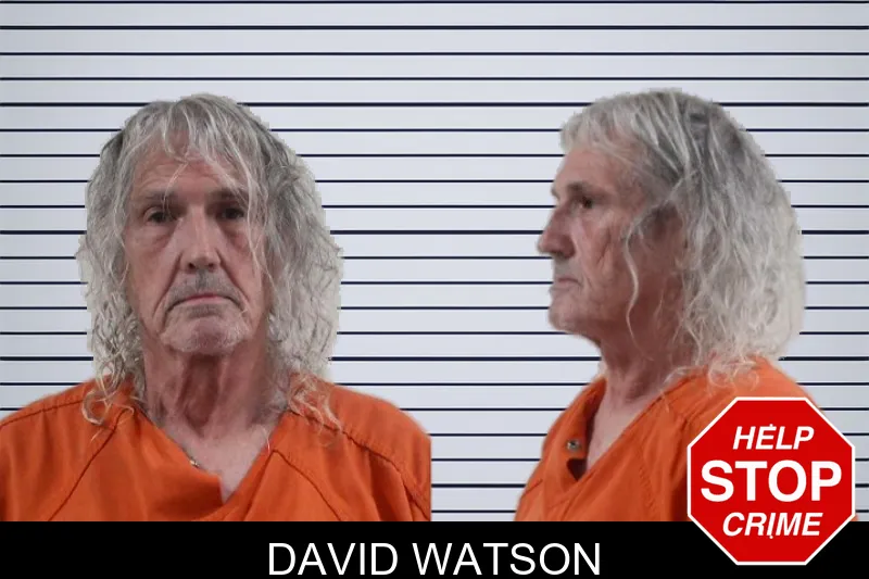 David Watson mugshot