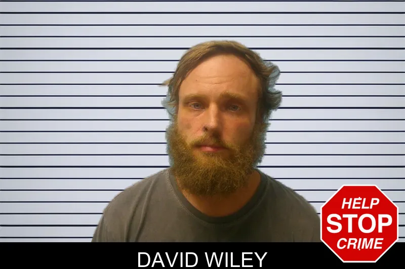 David Wiley mugshot – Franklin County , Georgia David Wiley mugshot