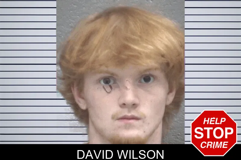 David Wilson mugshot – Columbia County , Georgia David Wilson mugshot