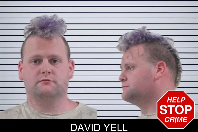 David Yell mugshot – Houston County , Georgia David Yell mugshot
