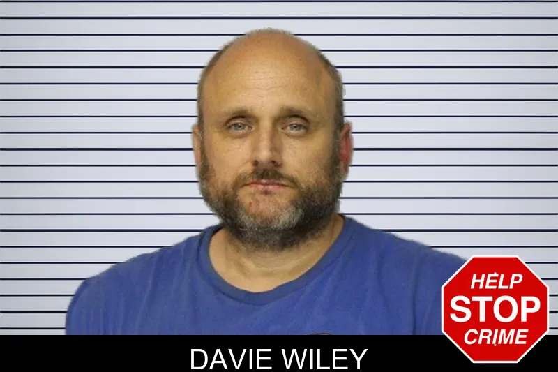 Davie Wiley mugshot – Hall County , Georgia Davie Wiley mugshot